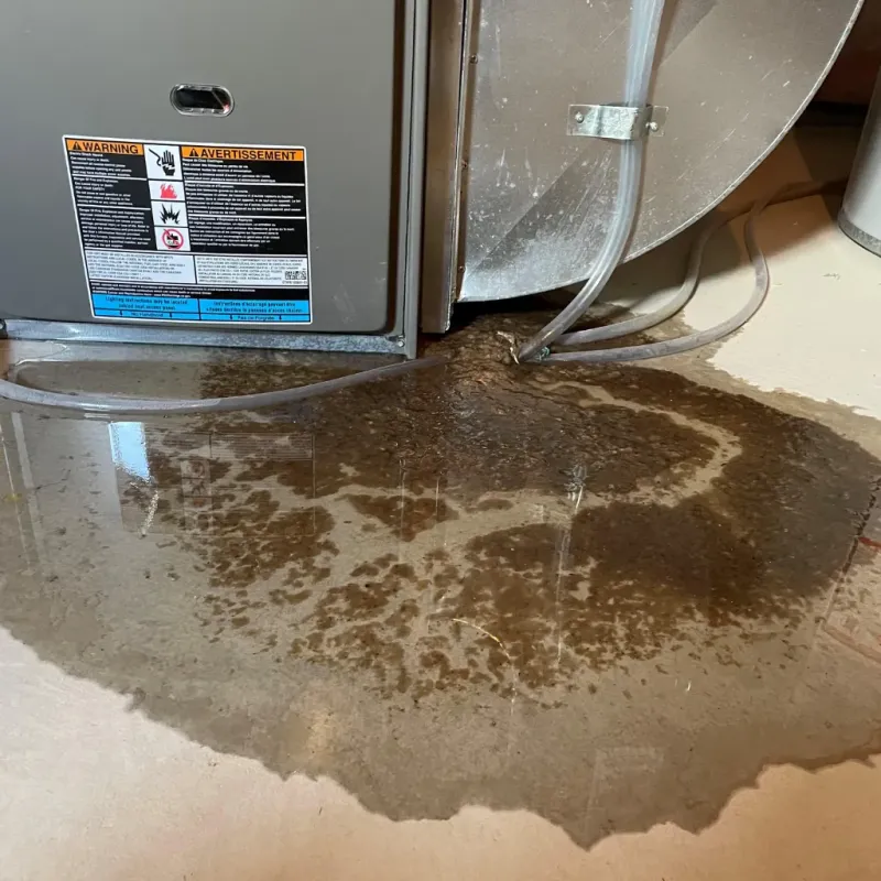 Appliance Leak Cleanup in Cherokee County, OK